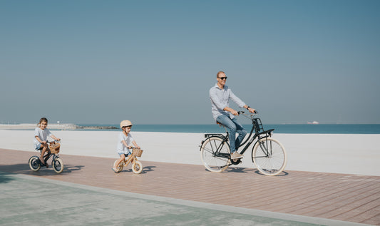 The Dutch Style 28" - Adult Bicycle