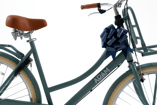 Gift bow - The Adam Store