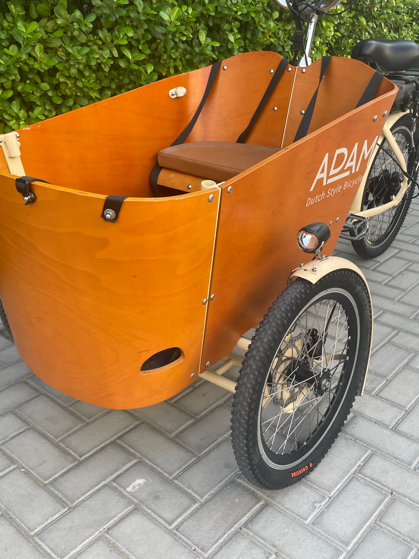 Electric Cargo Bicycle