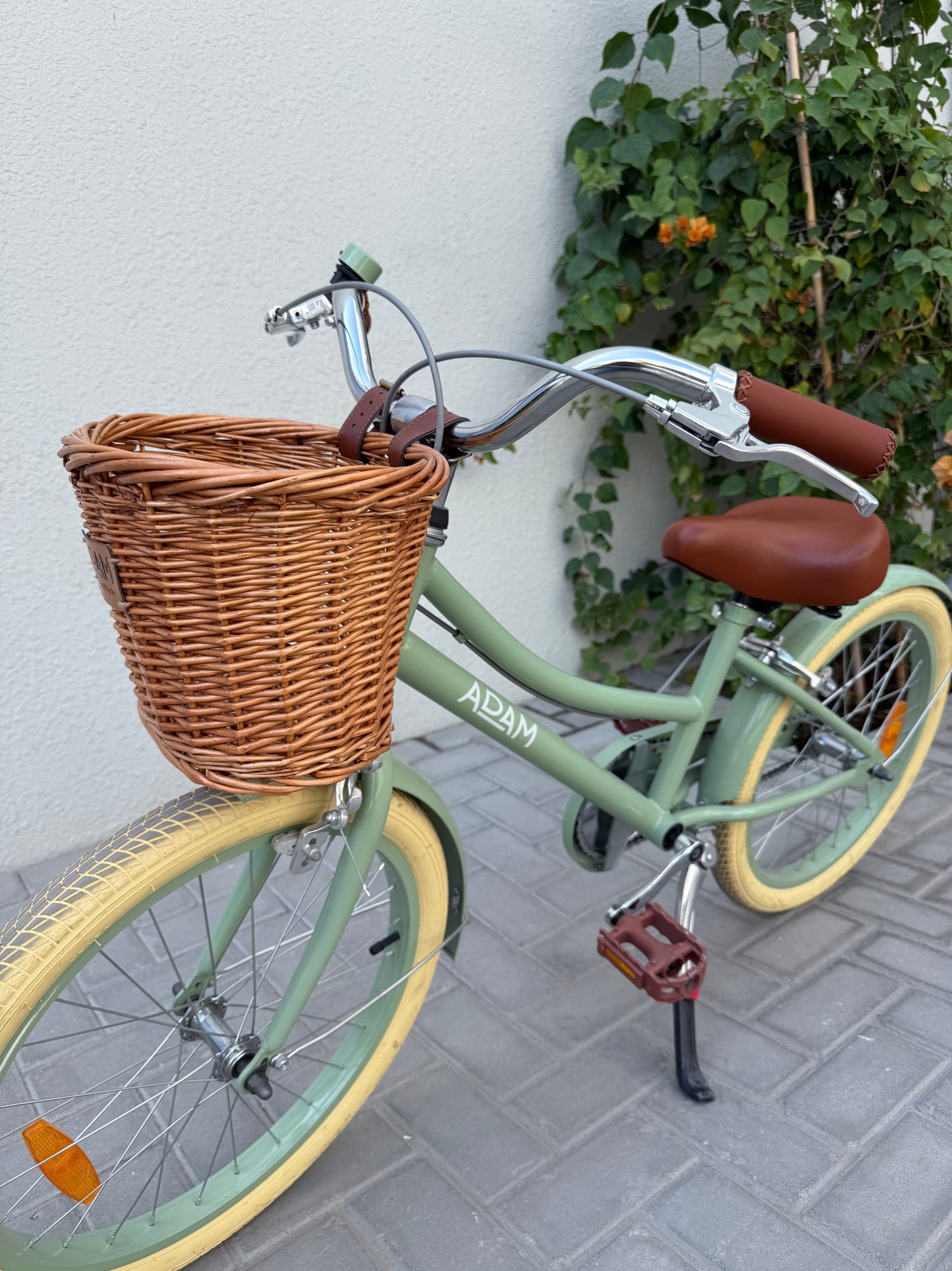 20" Dutch Style Handbrake Sage gloss Pre-loved