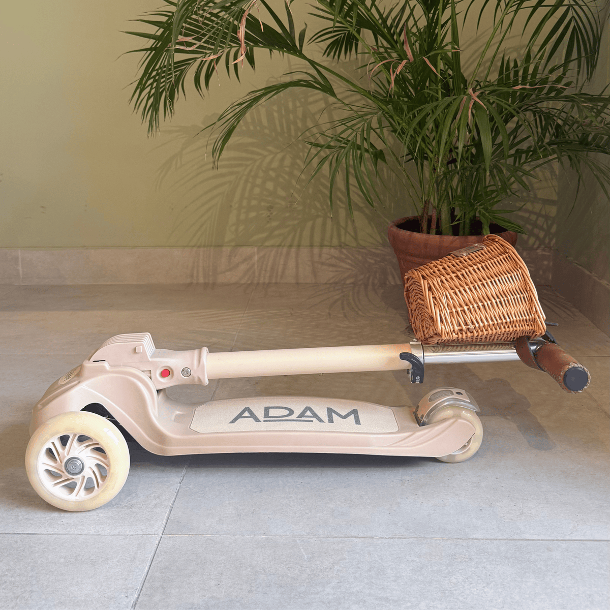 The Adam Scooter - The Adam Store