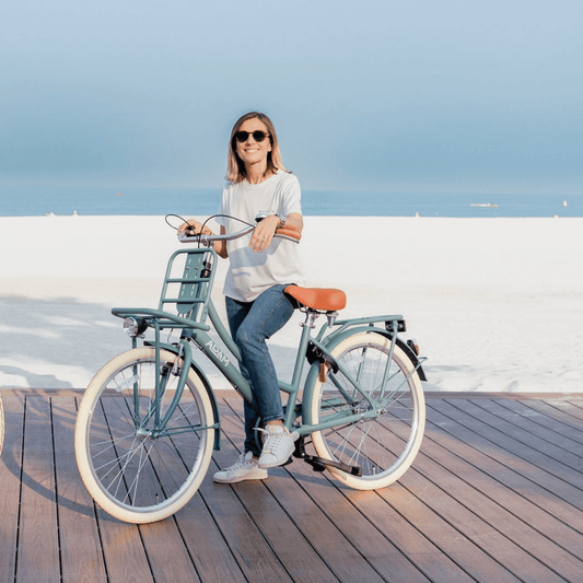 The Dutch Style Deluxe 26" - Bicycle with Gears - The Adam Store