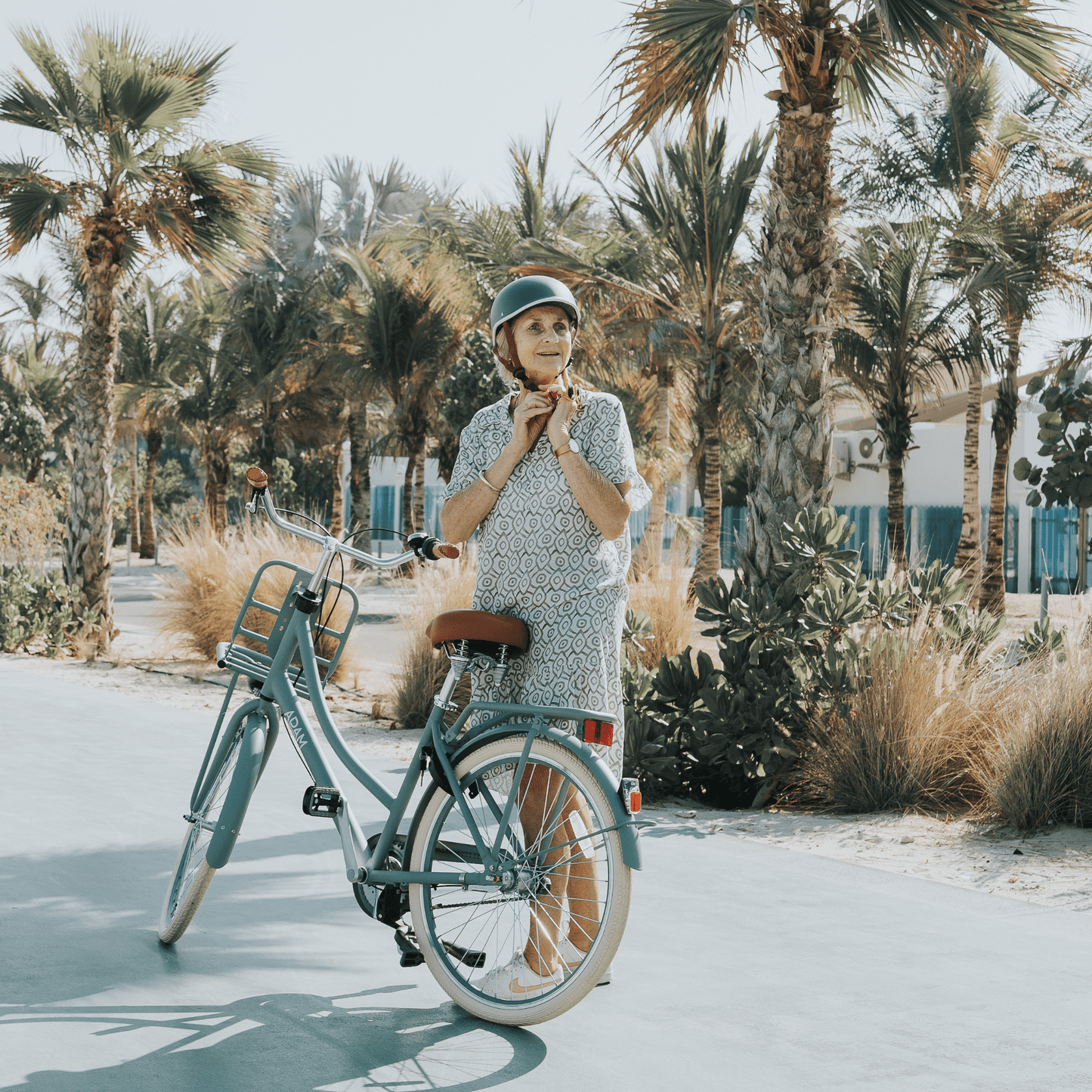 The Dutch Style Deluxe 26" - Bicycle with Gears - The Adam Store