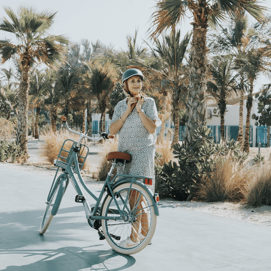 The Dutch Style Deluxe 26" - Bicycle with Gears - The Adam Store