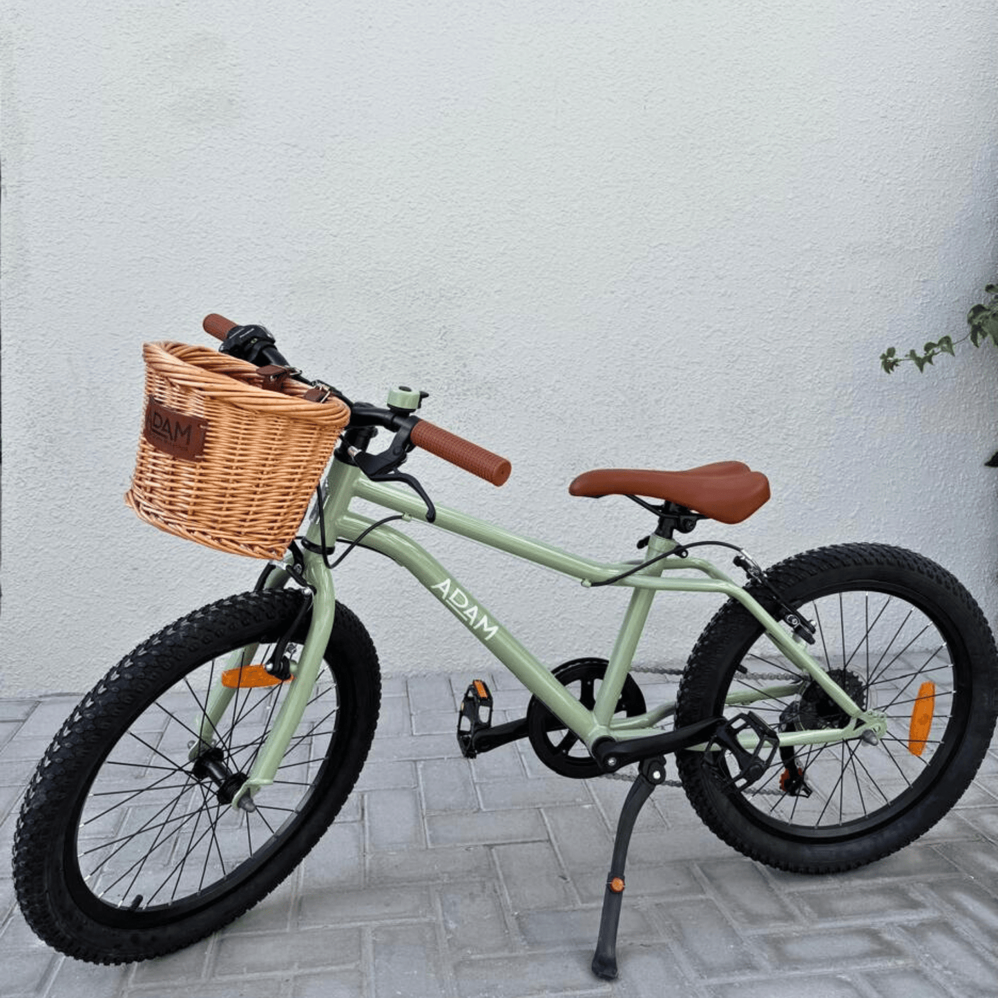 The Speedy MTB 20" - The Adam Store