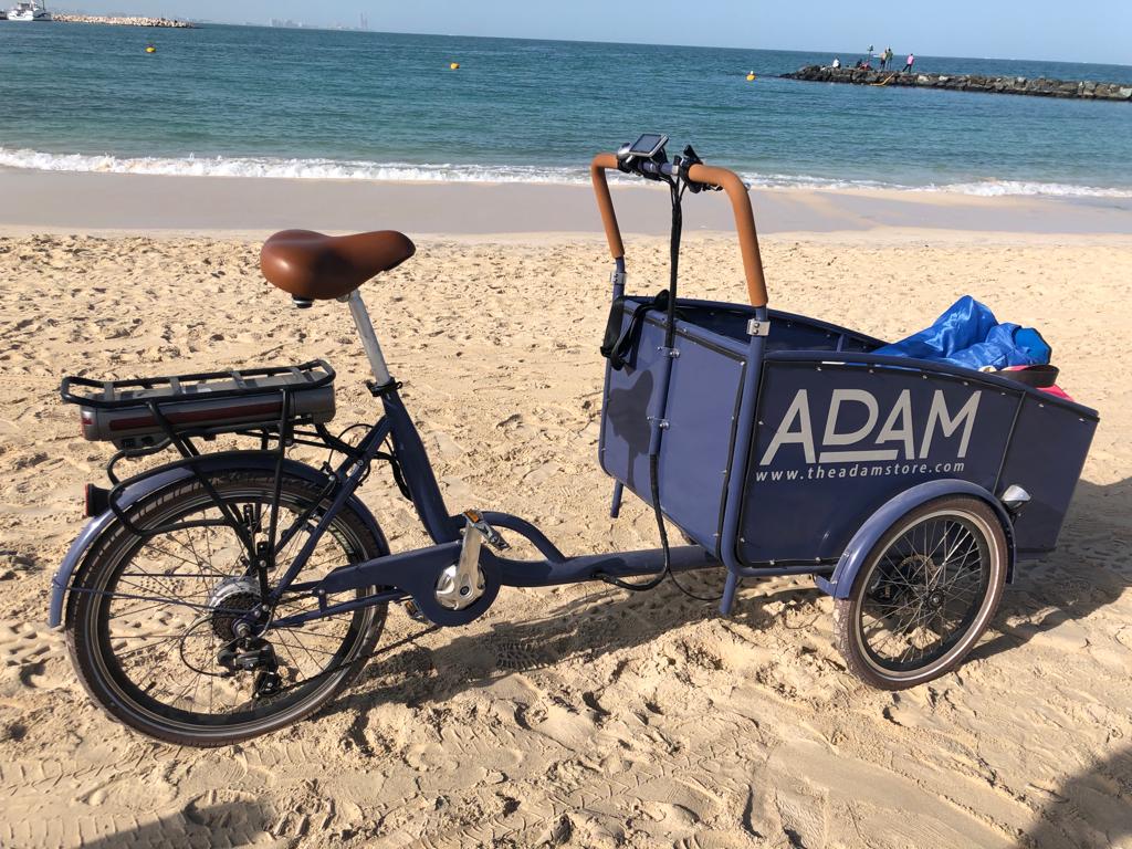 The Cargo Adam Electric - Steel Model
