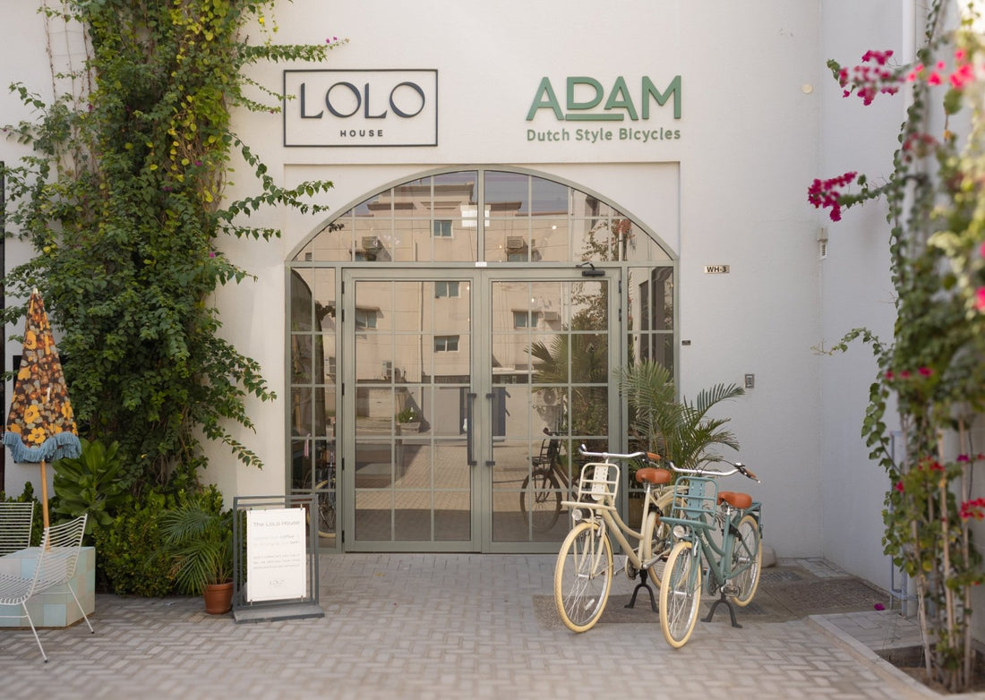 Your Complete Guide to Buying a Bicycle in Dubai - The Adam Store