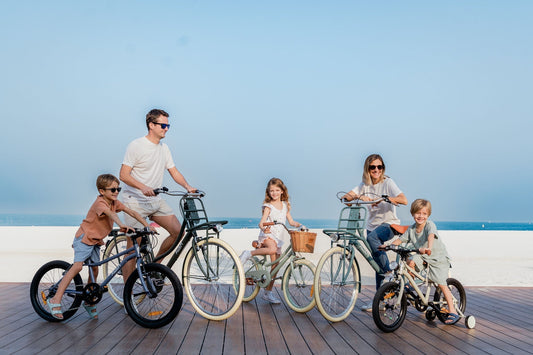 Why a Dutch-style bike works so well in Dubai? - The Adam Store