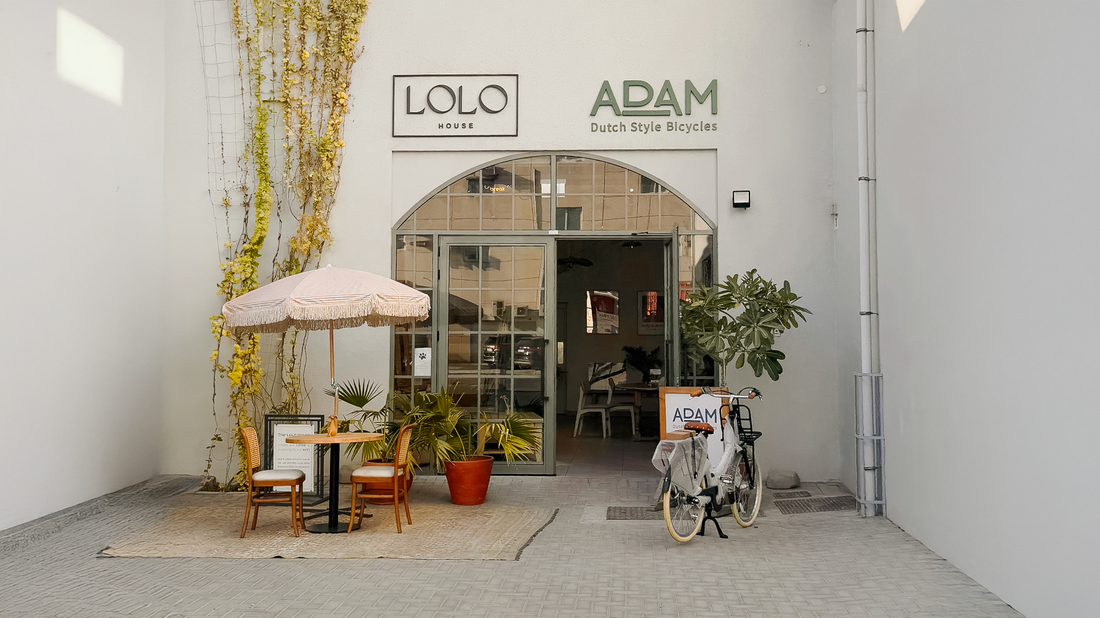 Where to buy bicycle in Dubai: Best shops deals to explore!