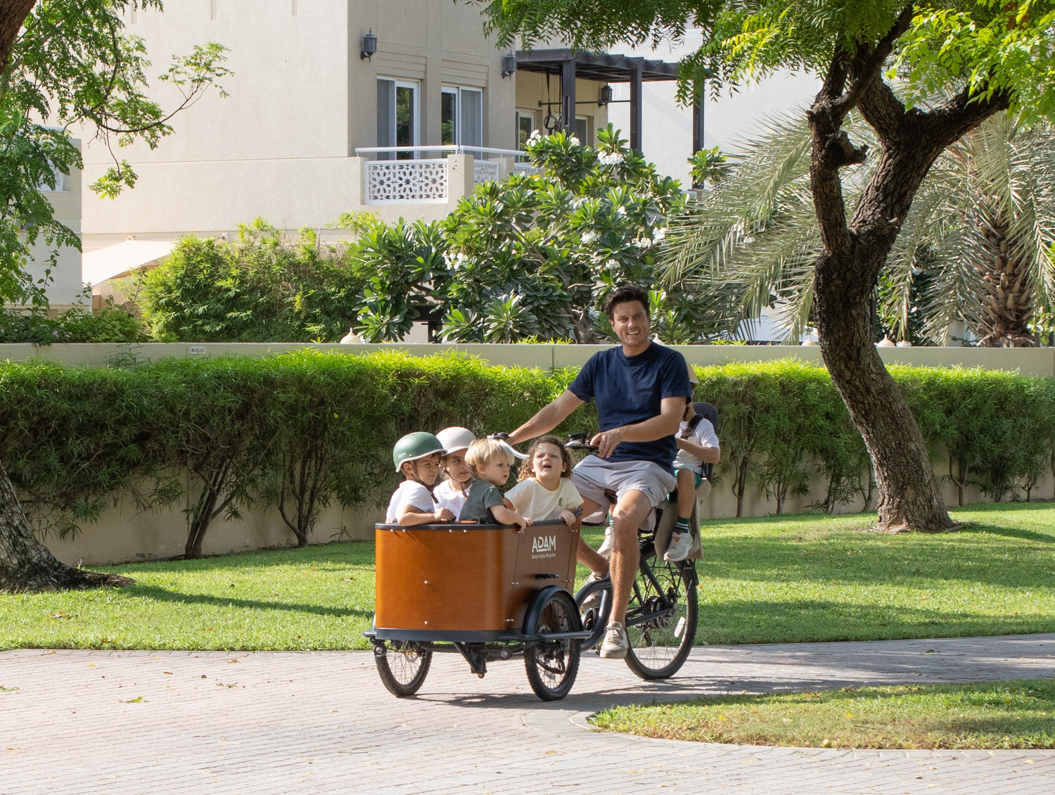 Electric Bicycles