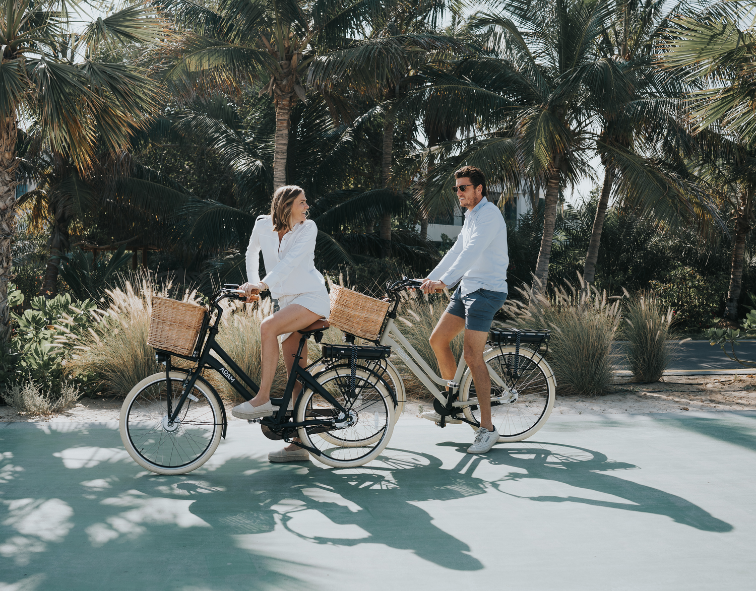 All Adult Bicycles