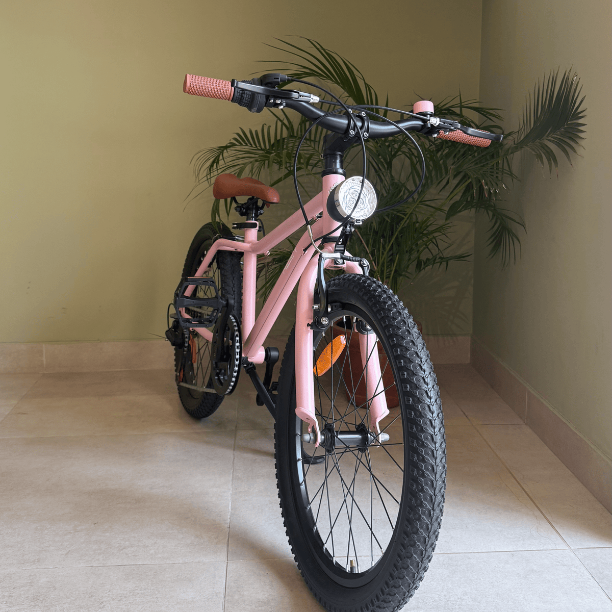 The 20" MTB Pink - The Adam Store