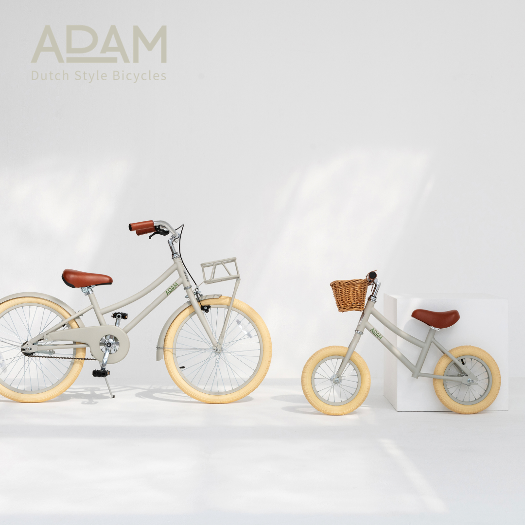 Dutch Style Bicycles