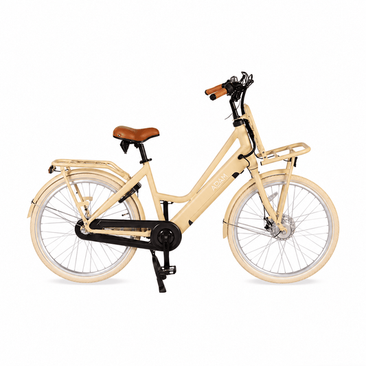 The Electric 26" Adult Bike - The Adam Store