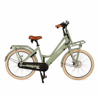 The Electric 26" Adult Bike - The Adam Store