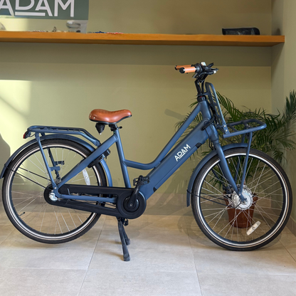 The 26" Electric Display