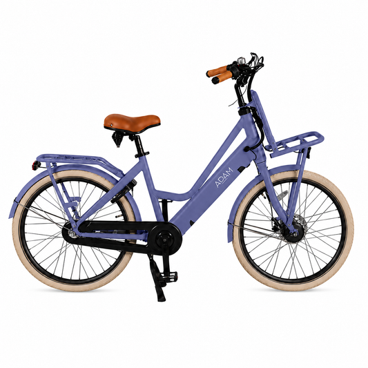 The Electric 28" Adult Bike