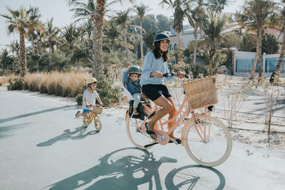 The Dutch Style Deluxe 26" - Bicycle with Gears