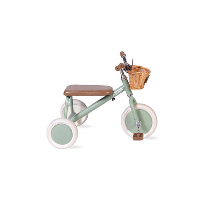 The Tiny Tricycle