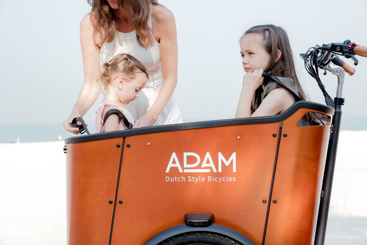 Adam Bike Rack Adam Three- Wheel Electric Cargo Bike with front Box – The Adam Store
