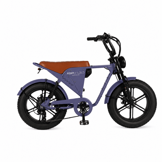 Adam Fat Bike - The Adam Store