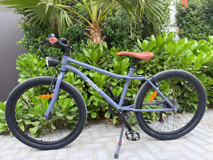 20" Speedy MTB Blue Imperfect