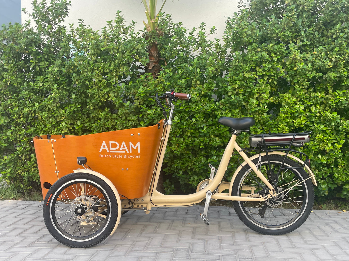 Electric Cargo Bicycle