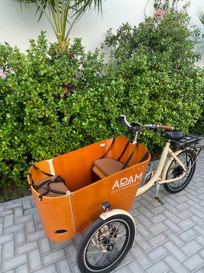 Electric Cargo Bicycle