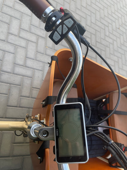 Electric Cargo Bicycle