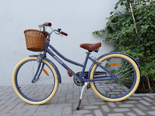 The Dutch Style 24" Blue Handbrake Imperfect