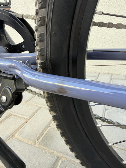 24" Speedy MTB Blue Imperfect