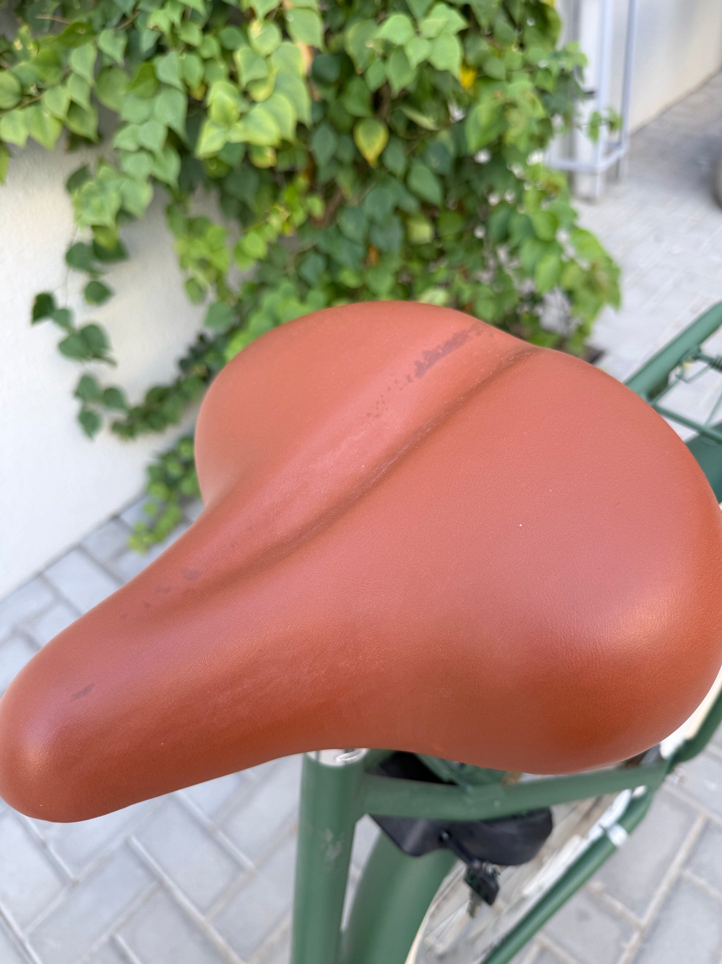 The Dutch Style 28" Green Pre-Loved