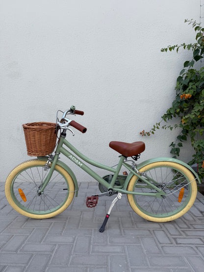 20" Dutch Style Handbrake Sage gloss Pre-loved