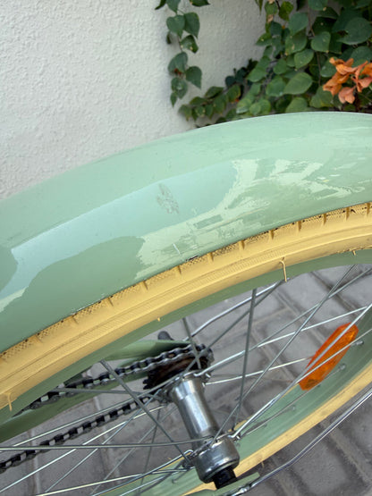 20" Dutch Style Handbrake Sage gloss Pre-loved
