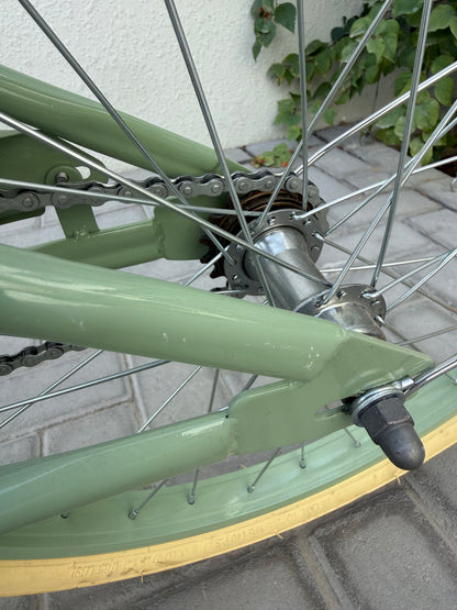 20" Dutch Style Handbrake Sage gloss Pre-loved