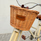 The Short Adam 24" Pedal Back Pre-loved