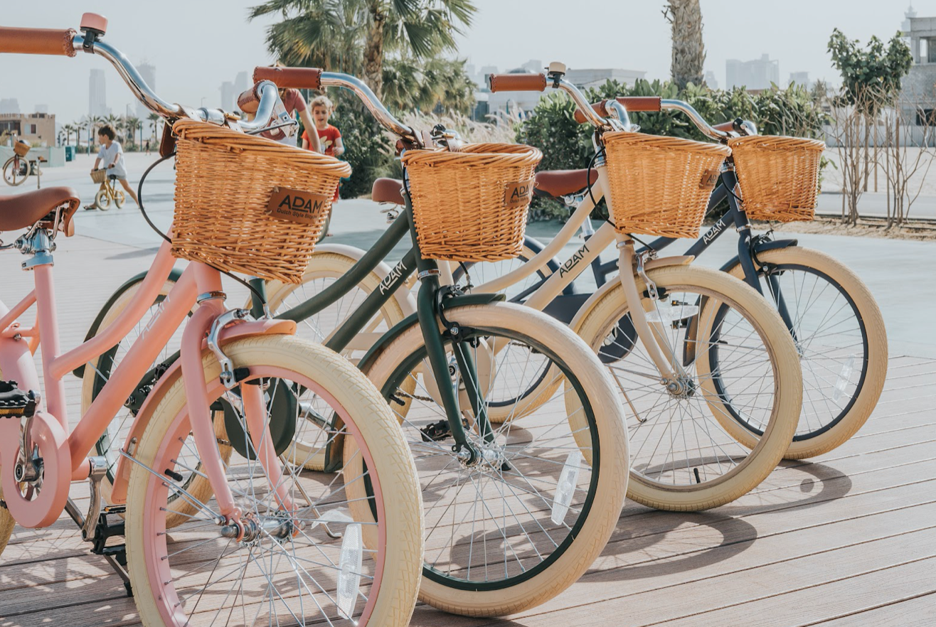 The Dutch Style 20" - Bicycle for children