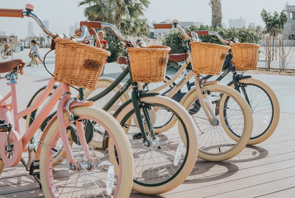 The Dutch Style 20" - Bicycle for children