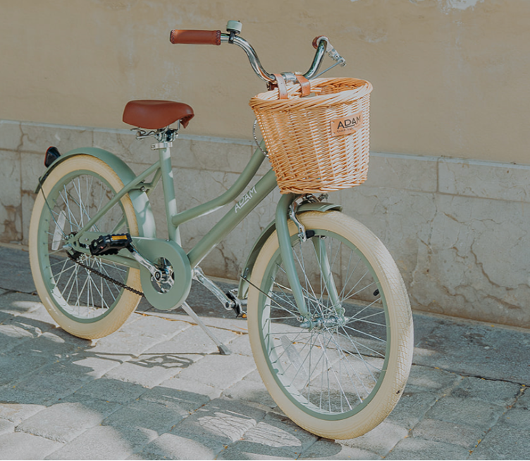 Bike with basket for kids sales