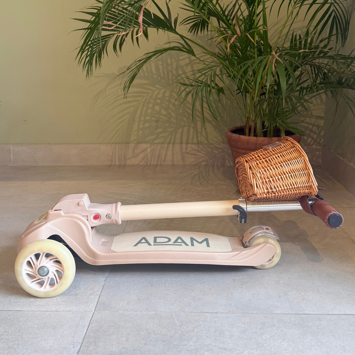 The Adam Scooter
