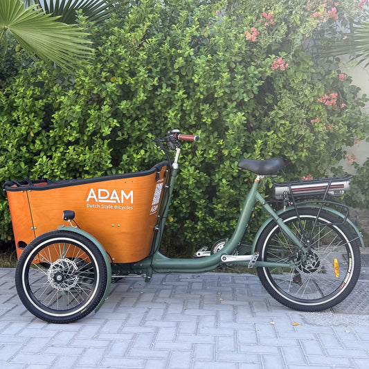 The Electric Cargo Green- 3 wheels Pre-loved - The Adam Store