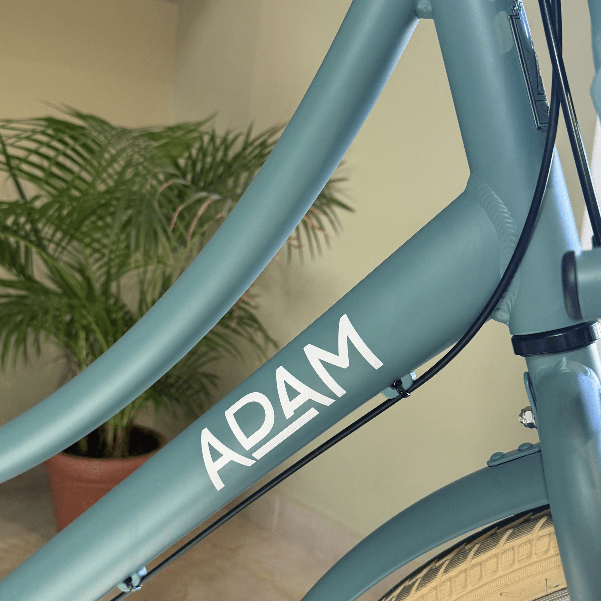 The 26" Deluxe Ocean Blue Display - The Adam Store