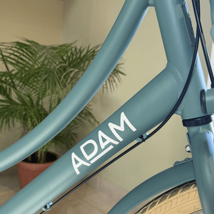 The 26" Deluxe Ocean Blue Display - The Adam Store
