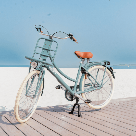 The Dutch Style Deluxe 26" - Bicycle with Gears - The Adam Store