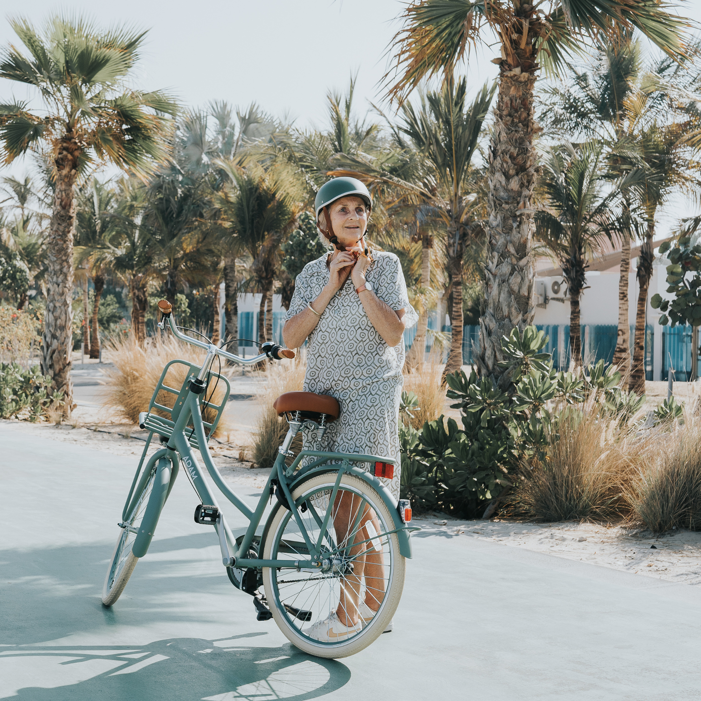 The Dutch Style Deluxe 26" - Bicycle with Gears