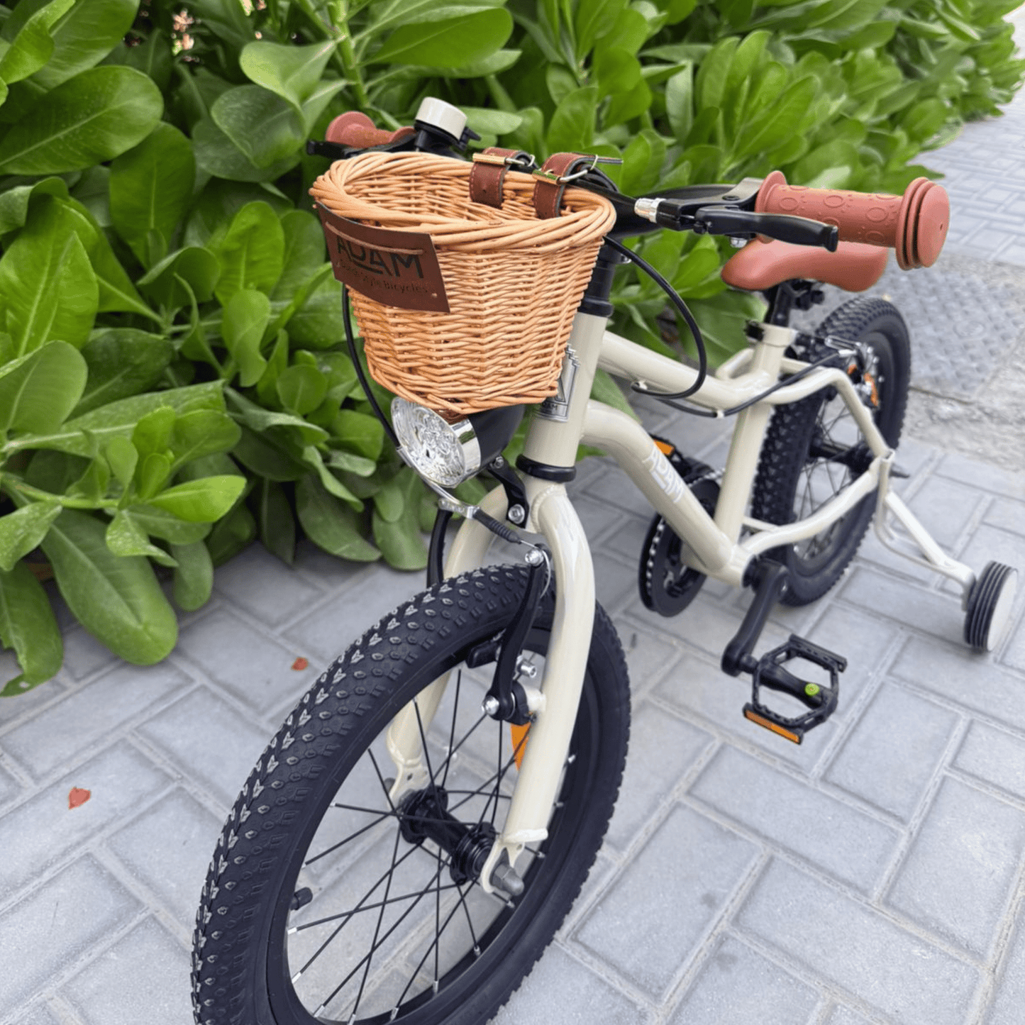 The Speedy MTB 16" - The Adam Store