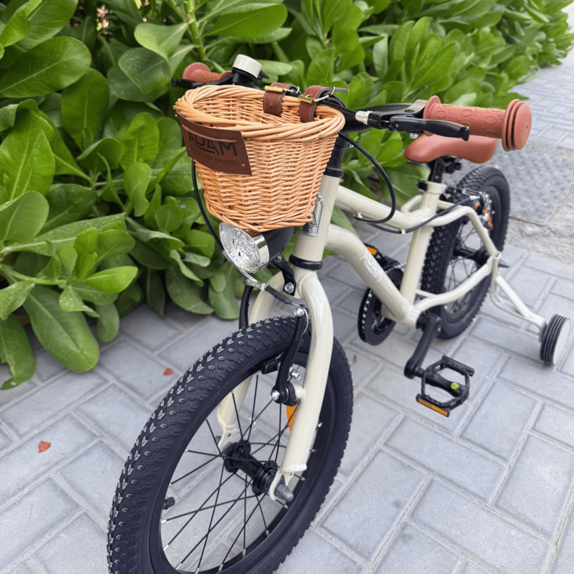 The Speedy MTB 16" - The Adam Store