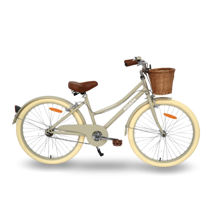 The Dutch Style 24" - Bicycle