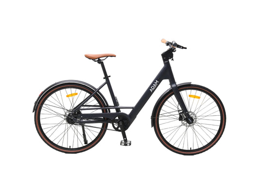 The Urban Adam PRE-ORDER