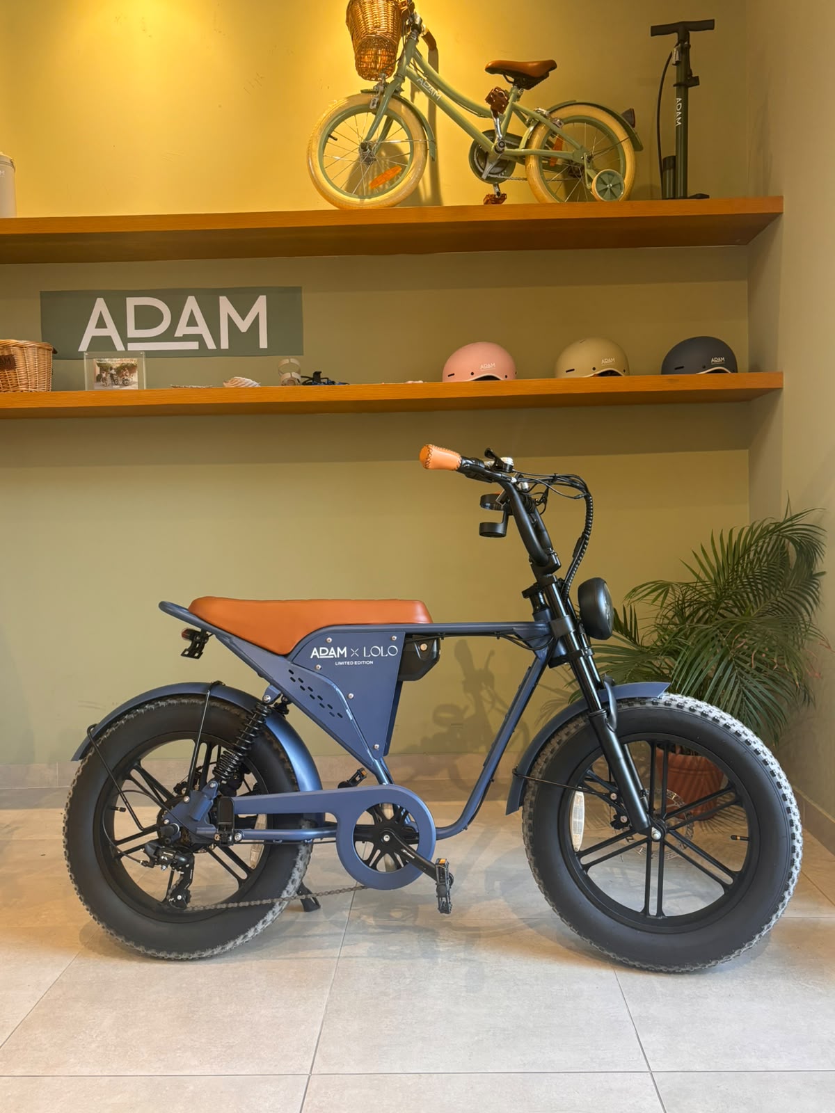 The Fat Bike Navy - The Adam Store